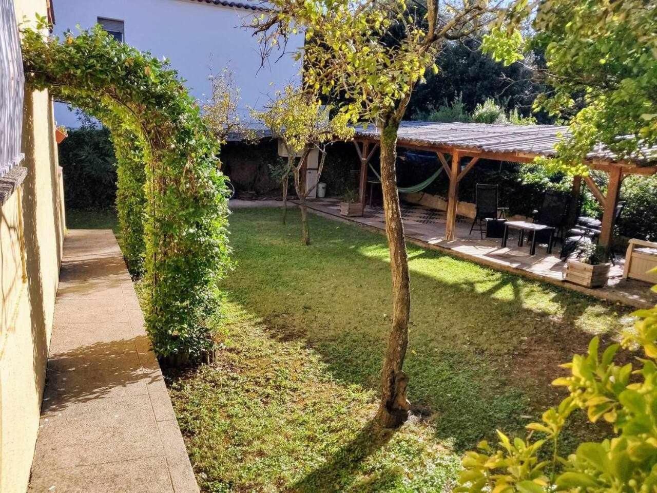Can Camps Besalu Casa Planta Baja Con Jardin Exteriör bild
