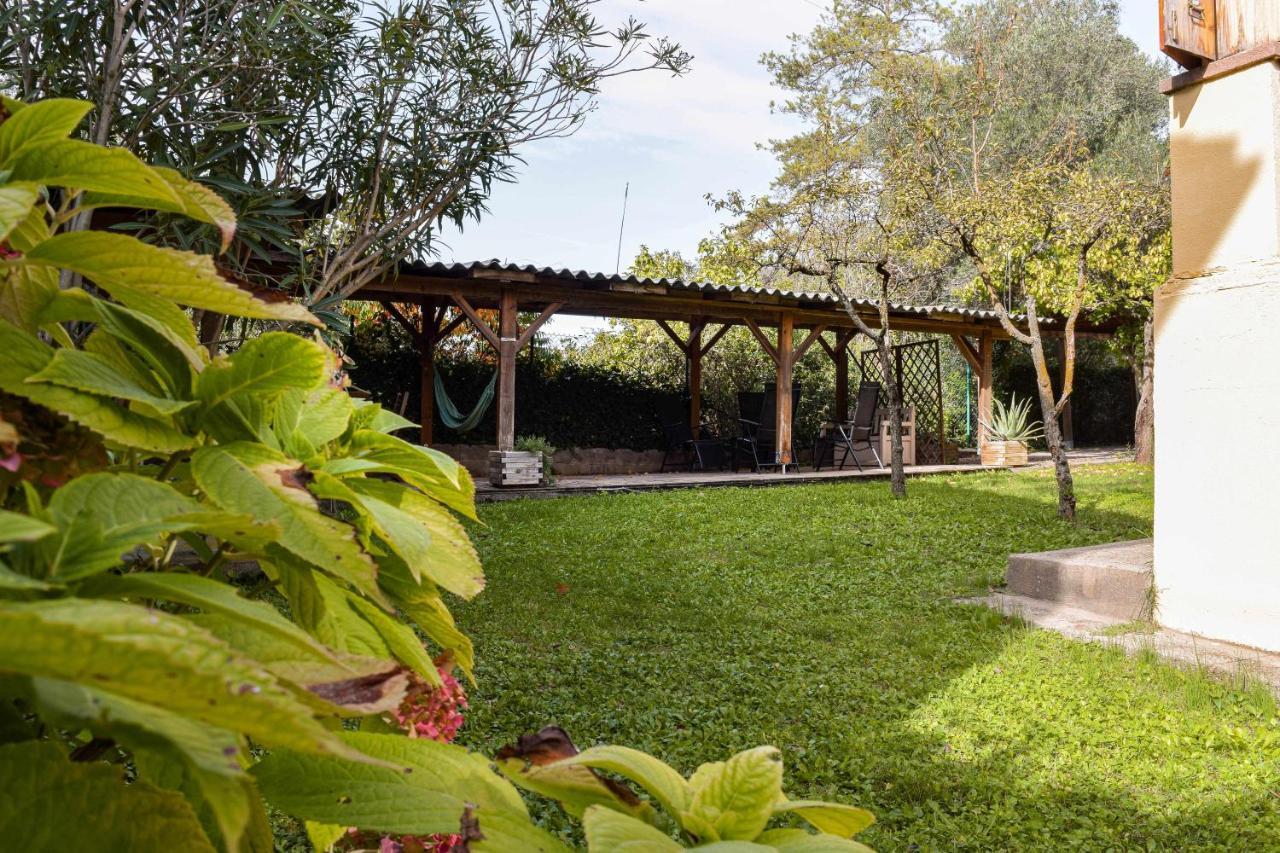 Can Camps Besalu Casa Planta Baja Con Jardin Exteriör bild